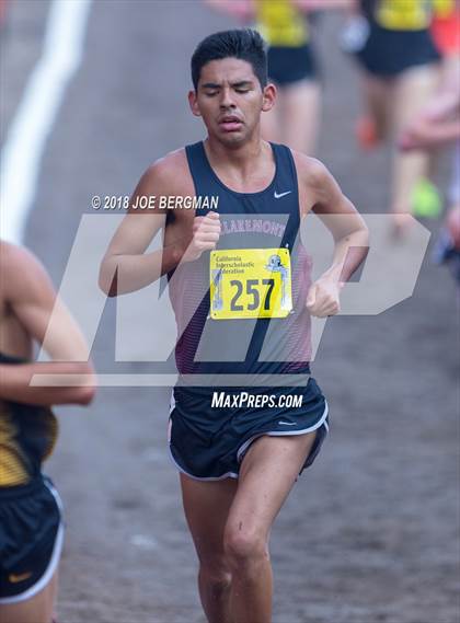 Thumbnail 1 in CIF State Cross Country Championships (Boys D2 Race) photogallery.