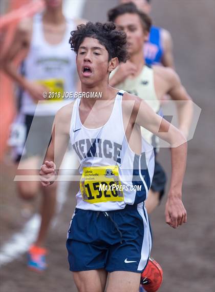 Thumbnail 2 in CIF State Cross Country Championships (Boys D2 Race) photogallery.