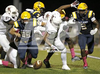 Thumbnail 3 in Horn Lake @ Olive Branch photogallery.