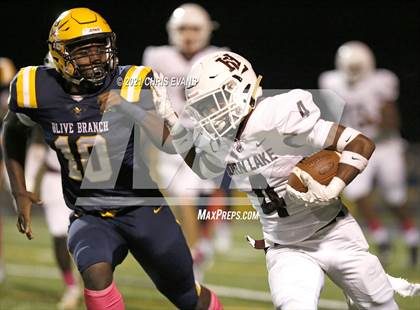 Thumbnail 3 in Horn Lake @ Olive Branch photogallery.