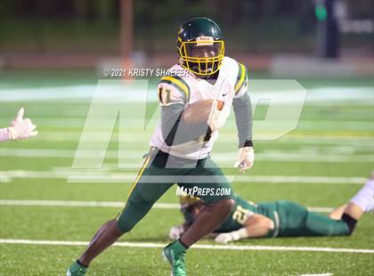 Thumbnail 1 in Pine Forest @ Cardinal Gibbons photogallery.