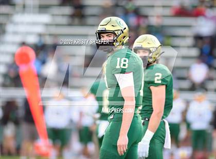 Thumbnail 3 in Pine Forest @ Cardinal Gibbons photogallery.