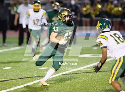 Thumbnail 1 in Pine Forest @ Cardinal Gibbons photogallery.