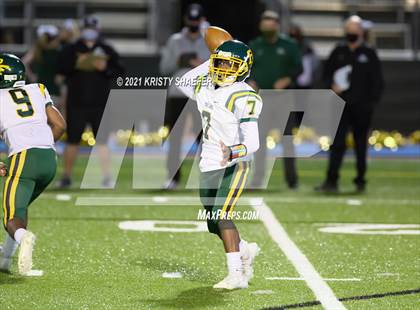 Thumbnail 3 in Pine Forest @ Cardinal Gibbons photogallery.