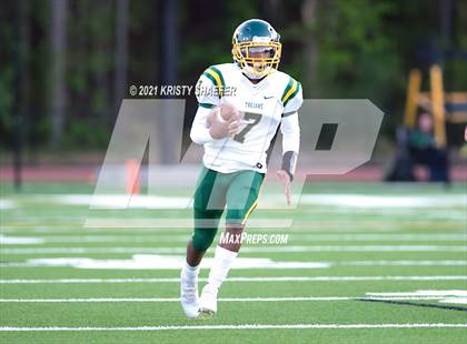 Thumbnail 3 in Pine Forest @ Cardinal Gibbons photogallery.