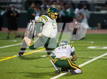 Thumbnail 2 in Pine Forest @ Cardinal Gibbons photogallery.