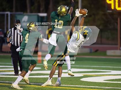 Thumbnail 3 in Pine Forest @ Cardinal Gibbons photogallery.