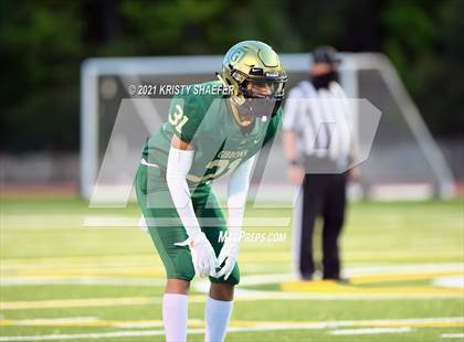 Thumbnail 1 in Pine Forest @ Cardinal Gibbons photogallery.
