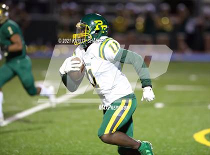 Thumbnail 1 in Pine Forest @ Cardinal Gibbons photogallery.