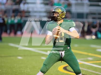 Thumbnail 1 in Pine Forest @ Cardinal Gibbons photogallery.