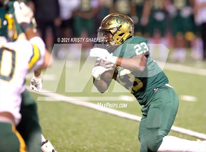 Thumbnail 1 in Pine Forest @ Cardinal Gibbons photogallery.