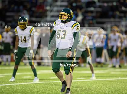 Thumbnail 1 in Pine Forest @ Cardinal Gibbons photogallery.