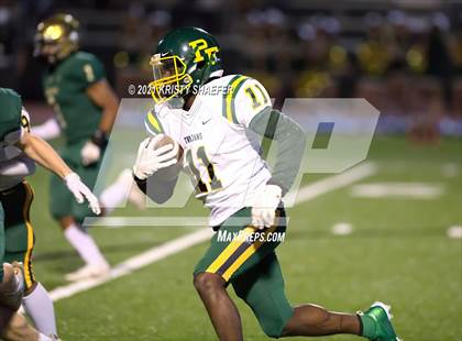 Thumbnail 2 in Pine Forest @ Cardinal Gibbons photogallery.