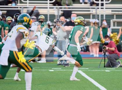 Thumbnail 3 in Pine Forest @ Cardinal Gibbons photogallery.
