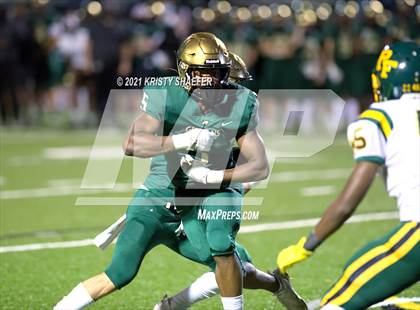Thumbnail 3 in Pine Forest @ Cardinal Gibbons photogallery.
