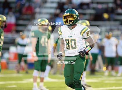 Thumbnail 3 in Pine Forest @ Cardinal Gibbons photogallery.
