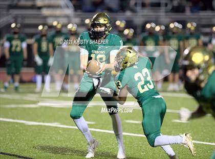 Thumbnail 1 in Pine Forest @ Cardinal Gibbons photogallery.