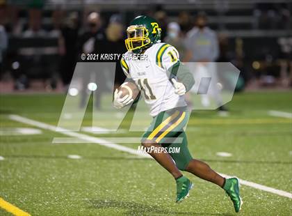Thumbnail 3 in Pine Forest @ Cardinal Gibbons photogallery.