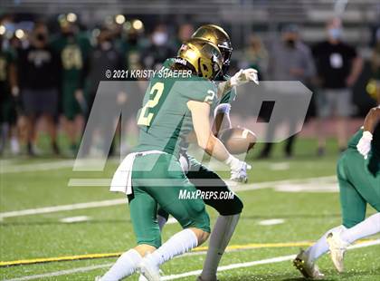 Thumbnail 1 in Pine Forest @ Cardinal Gibbons photogallery.