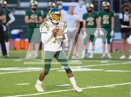 Thumbnail 3 in Pine Forest @ Cardinal Gibbons photogallery.