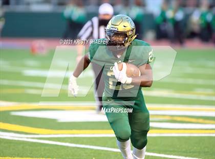 Thumbnail 2 in Pine Forest @ Cardinal Gibbons photogallery.