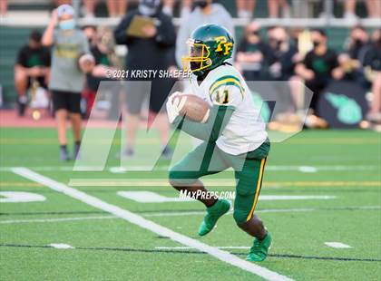 Thumbnail 1 in Pine Forest @ Cardinal Gibbons photogallery.