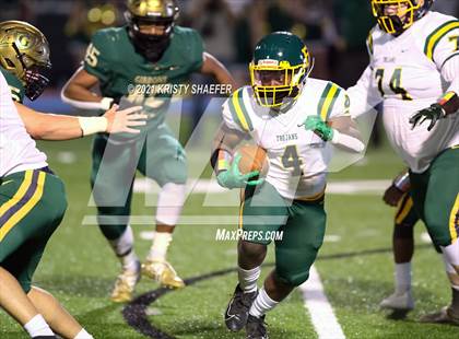 Thumbnail 3 in Pine Forest @ Cardinal Gibbons photogallery.