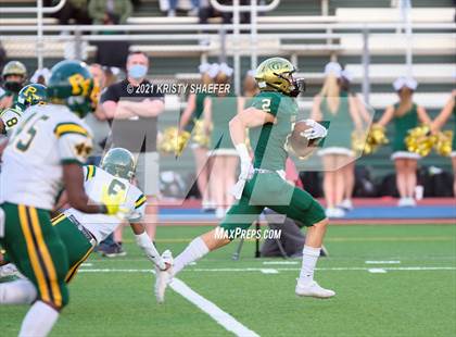 Thumbnail 1 in Pine Forest @ Cardinal Gibbons photogallery.