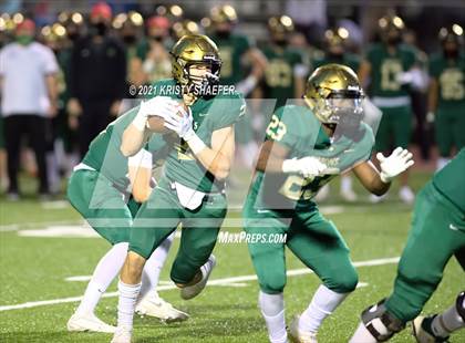 Thumbnail 1 in Pine Forest @ Cardinal Gibbons photogallery.