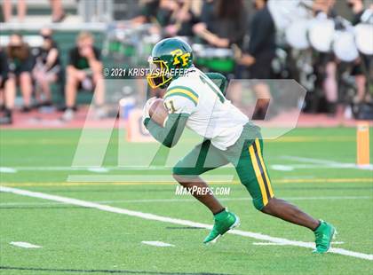 Thumbnail 2 in Pine Forest @ Cardinal Gibbons photogallery.