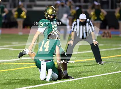 Thumbnail 1 in Pine Forest @ Cardinal Gibbons photogallery.