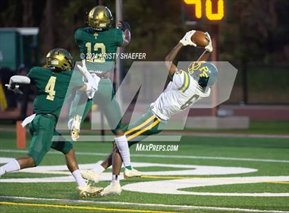 Thumbnail 1 in Pine Forest @ Cardinal Gibbons photogallery.
