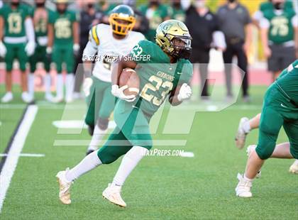 Thumbnail 2 in Pine Forest @ Cardinal Gibbons photogallery.