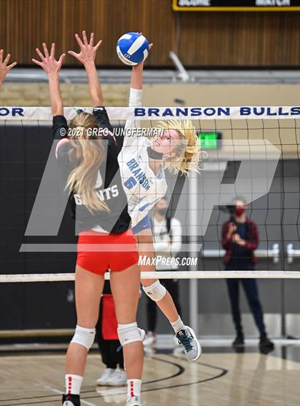 Thumbnail 1 in Redwood @ Branson photogallery.