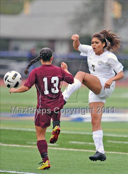 Thumbnail 2 in Clarke @ Bethpage  photogallery.