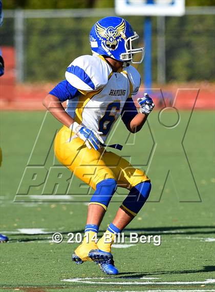 Thumbnail 2 in Harding @ Darien photogallery.