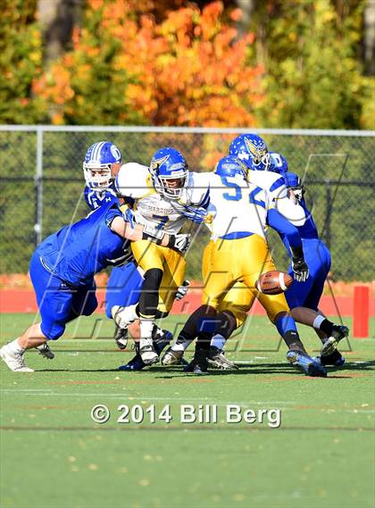 Thumbnail 1 in Harding @ Darien photogallery.