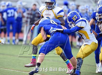 Thumbnail 3 in Harding @ Darien photogallery.