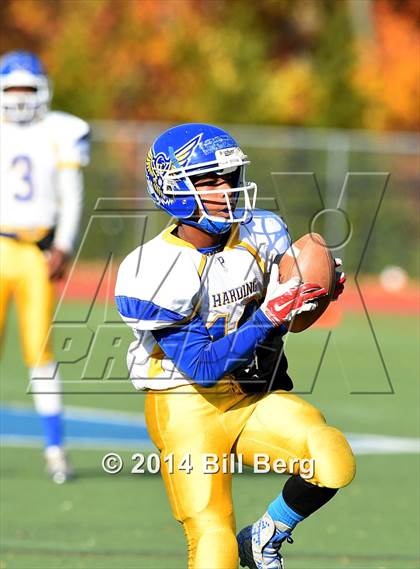 Thumbnail 3 in Harding @ Darien photogallery.