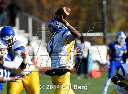 Thumbnail 1 in Harding @ Darien photogallery.