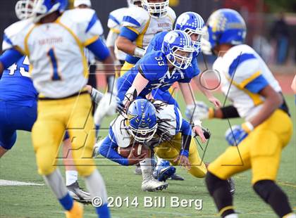 Thumbnail 2 in Harding @ Darien photogallery.