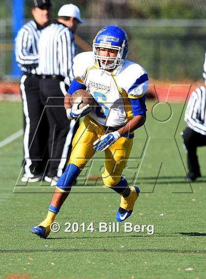 Thumbnail 1 in Harding @ Darien photogallery.