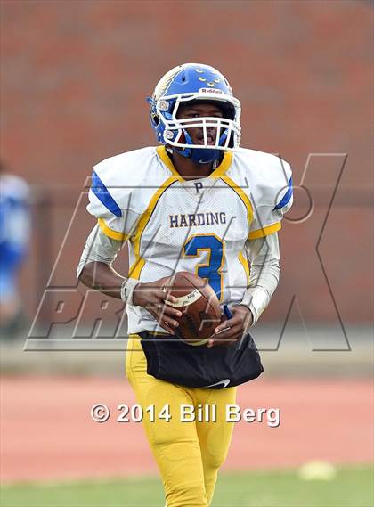Thumbnail 2 in Harding @ Darien photogallery.
