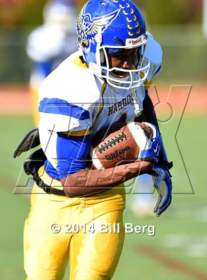 Thumbnail 1 in Harding @ Darien photogallery.