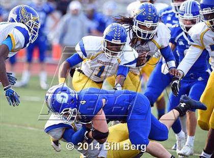 Thumbnail 3 in Harding @ Darien photogallery.