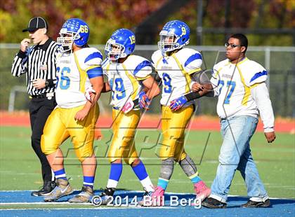 Thumbnail 1 in Harding @ Darien photogallery.