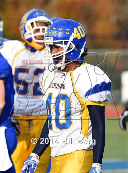 Thumbnail 3 in Harding @ Darien photogallery.
