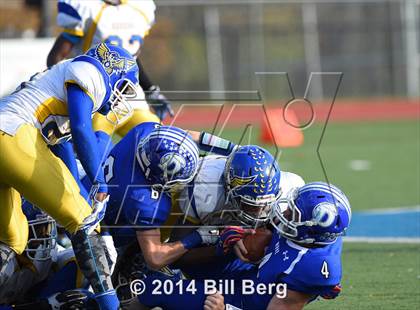 Thumbnail 3 in Harding @ Darien photogallery.