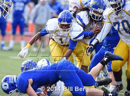 Thumbnail 1 in Harding @ Darien photogallery.