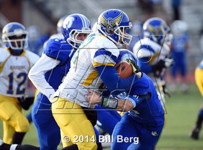 Thumbnail 1 in Harding @ Darien photogallery.